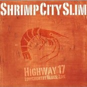 Highway 17 Lowcountry Blues:  Live