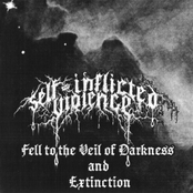 Fell to the Veil of Darkness and Extinction