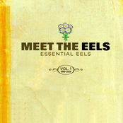 Love Of The Loveless by Eels