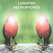 Cross Road by Lungfish