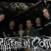 Orphans In Coma