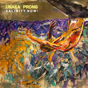 Unaka Prong: Salinity Now!