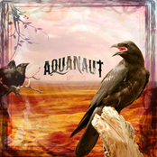 The Bell Tolls For Thee by Aquanaut