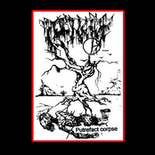 Putrefact Corpse