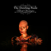 Hey Stranger by The Dowling Poole