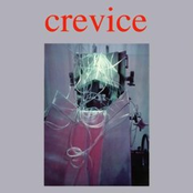 crevice