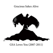 Gsa Loves You (2007-2011)