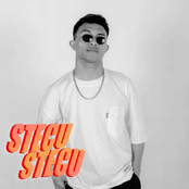 Stecu