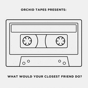 What Would Your Closest Friend Do?