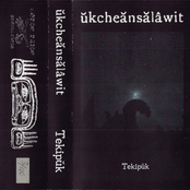 Tekipuk