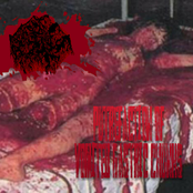 Putrefaction of Vomited Gastric Chunks