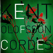 Cordes