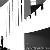 Perfections du Noir