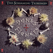Colour Me Gone by The Screaming Tribesmen