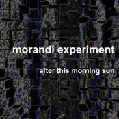 morandi experiment