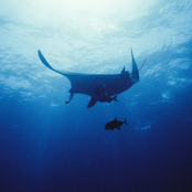 shame, guilt, fear, loneliness