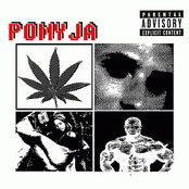 Tak Bardzo Cię Nienawidzę