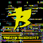 thrash bandicoot