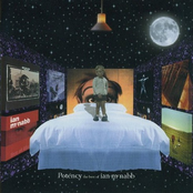 Potency: The Best of Ian McNabb
