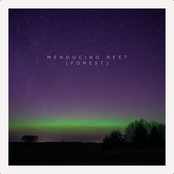 Mendocino Rest (Forest)