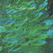 Bass Communion vs. Muslimgauze EP