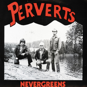 Nevergreens