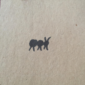 The Ants Create Meaning