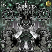 VA - Badgers Visions 3