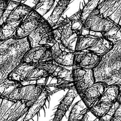 Nocturnal Phantom Session / Session #8