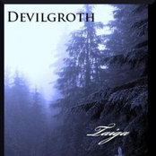 Taiga