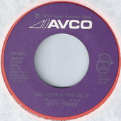 I'm Gonna Prove It / Guns