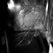 As Everything is a Tragedy