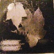 Demo (Eyes Like Autumn)