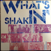 What's Shakin'