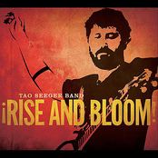 Rise and Bloom