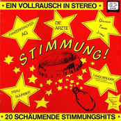Ein Vollrausch in Stereo - 20 schäumende Stimmungshits