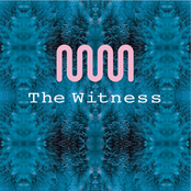 The Witness