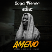 Ameno Amapiano (Remix)