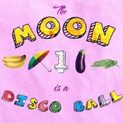 Eggplant Parmigiana by The Moon Is A Disco Ball