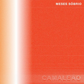 Camaleão