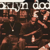 crooklyn dodgers