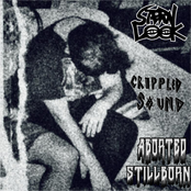 Crippled Sound side of split