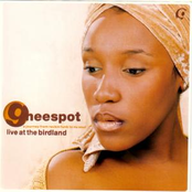 Gheespot live at the Birdland