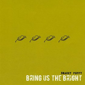 Bring Us The Bright