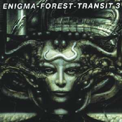 Enigma-Forest-Transit 3