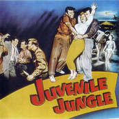 Juvenile Jungle