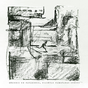 Bēgonis un Pavadonis, Pilsētas Pamešanas Stāsts