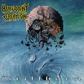 Ordain The Hierarchy by Malevolent Creation