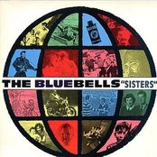 Will She Always Be Waiting (2024 Remaster)