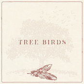 Dylan Gossett: Tree Birds